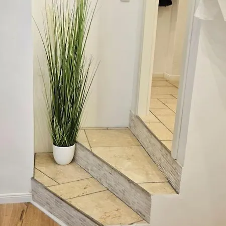 White Line キール