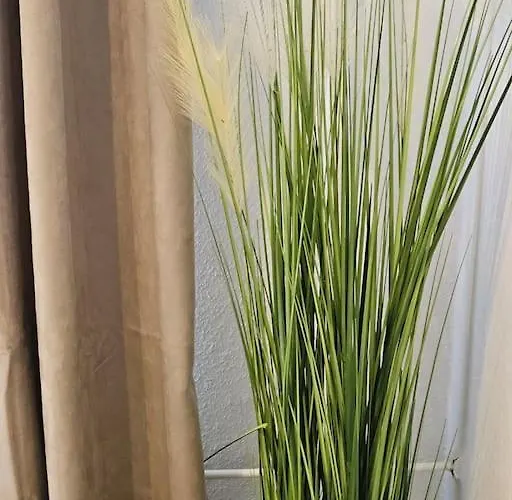 White Line Apartamento Kiel